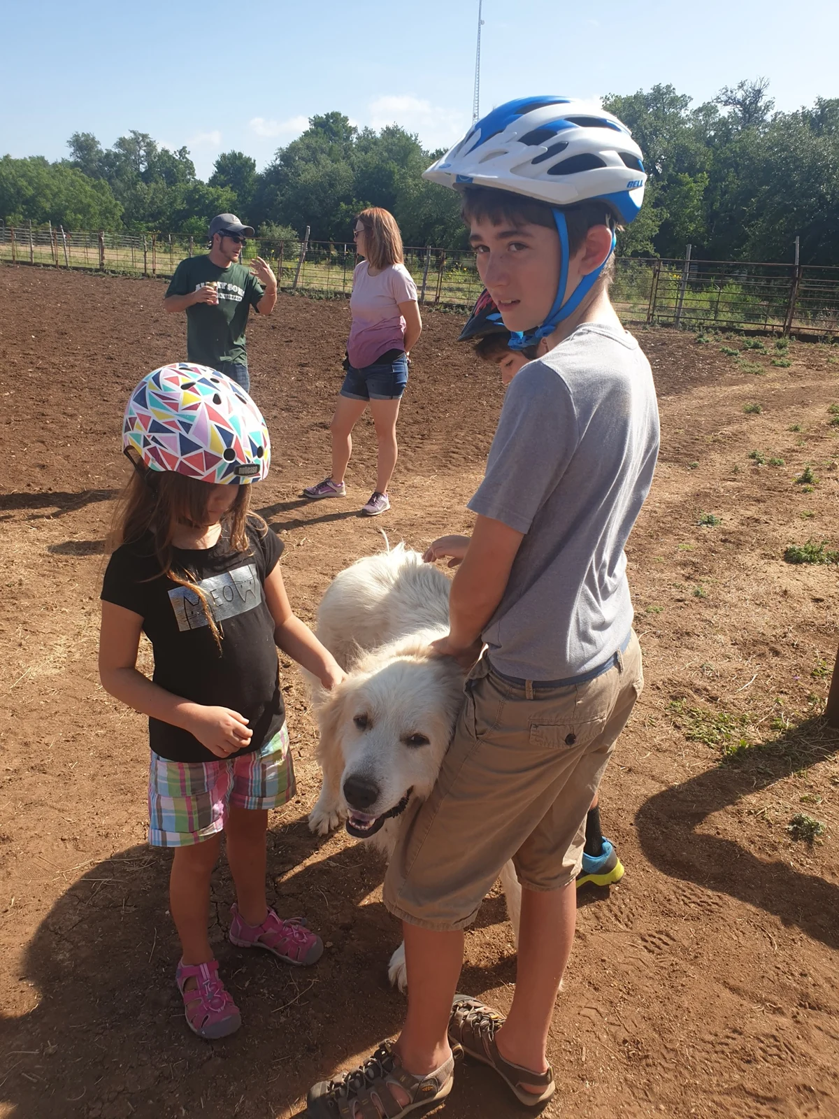A dad and kids meeting a horse on a family outing